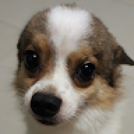 mrgeehan