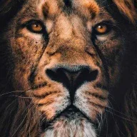 arar5