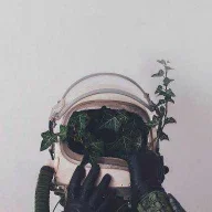WorstPanda