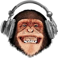 monkeykoy
