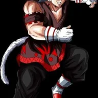 dragonball12