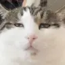 R u i j i