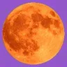 OrangeMoon