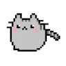 gokikikiki