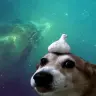 drkmantaray4xx1