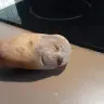 raizorako