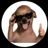 Articulate_Dutschund
