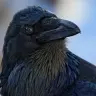 hahalol2