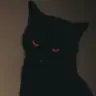 yvgsdeimos