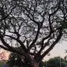 larevilucion