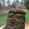 porewloivg