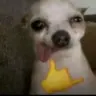 fastlike