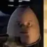 xNapoxx