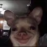 wakanda_33