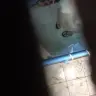 palautogg