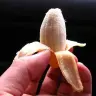 3inchassassin
