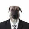 skibidisigmaa1221