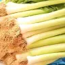 hunt4leeks