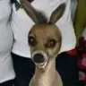 williametie