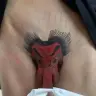 Daddy_Tyga