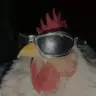 ibongibo