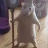 RumaragasangBorat