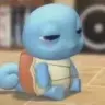 squirTOL