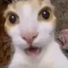bahaynikuya