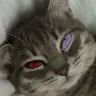 pablito