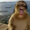 Asaaaarrrr_07
