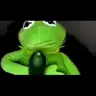 KermitTheFrogxxx