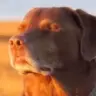 Daph69