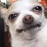 spagkagaguee