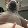 ttttrrryyyy