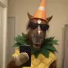 pineappleneigh