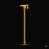 Golden Cane