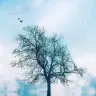 QWERTYUISGJDBD