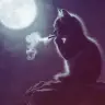 nocturnia