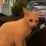 ezku