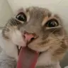 Pandesalsaumaga