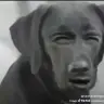 Cbkay
