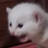 thr0waway