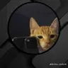 noob_18