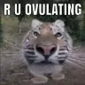 Ottog