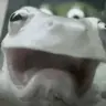 SassyTheSasquatch