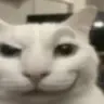 johnqt