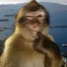 annoyingimage333
