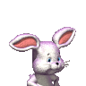 bunnylith