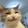 asasinokapuchino