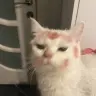 probablynotpeep